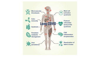 Biological mechanisms underpinning the development of Long COVID